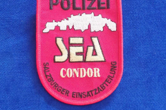 OeS-Condor