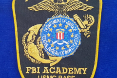 PUS-10